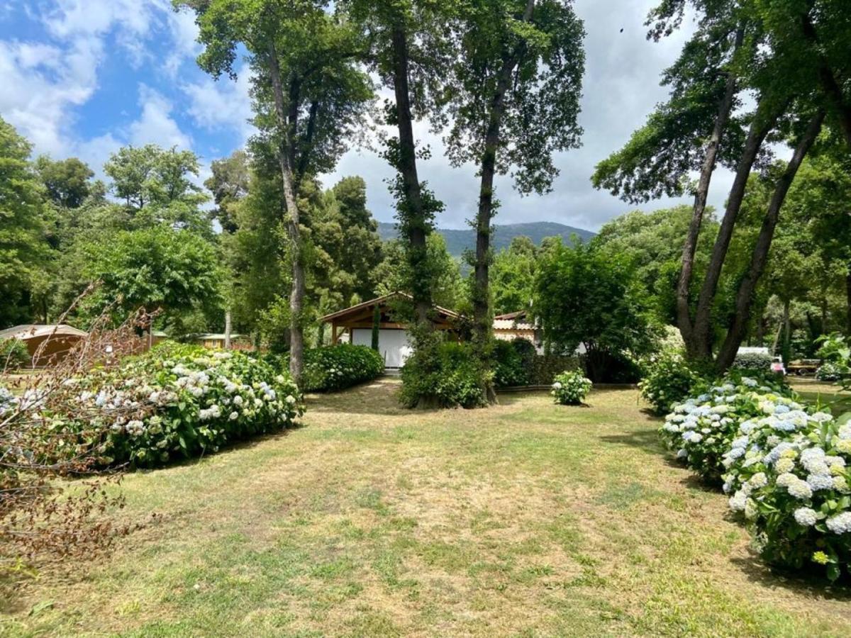 Camping Le Sagone Sagone  Εξωτερικό φωτογραφία